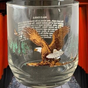 Vintage American Wildlife Rocks Glass Bald Eagle Sunoco